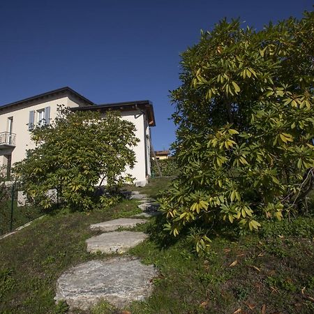 Villa Corbezzolo Luino Exterior photo